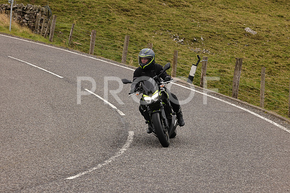 Steve - 3N3A9999 (2905)