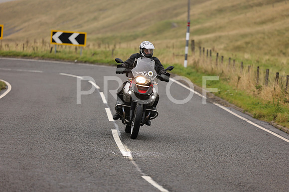 Steve - 3N3A9999 (1223)