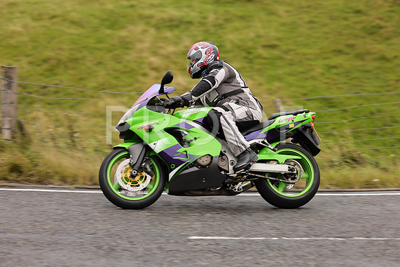 Steve - 3N3A9999 (1070)