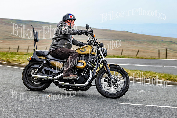 250A4559