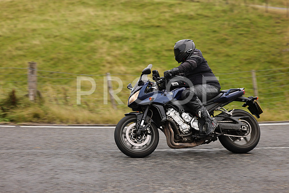 Steve - 3N3A9999 (1039)