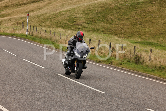 Steve - 3N3A9999 (4992)