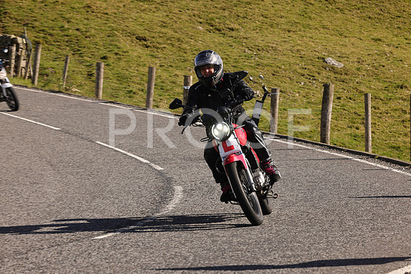Steve - 3N3A6320 (2015)