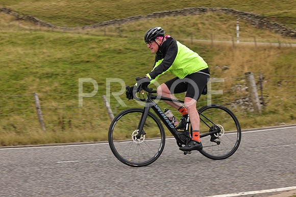 Steve - 3N3A9999 (2206)