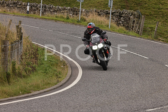 Steve - 3N3A9999 (4928)