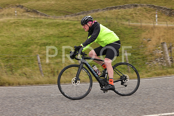 Steve - 3N3A9999 (2207)