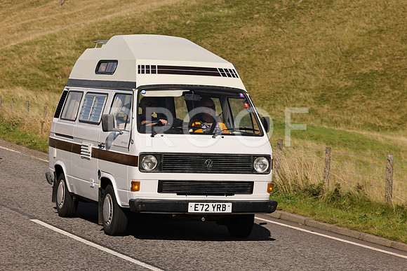 Steve - 3N3A6320 (1710)