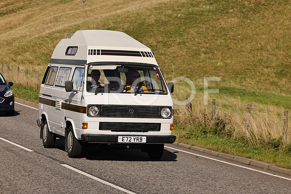 Steve - 3N3A6320 (1703)