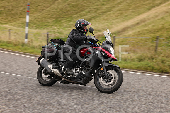 Steve - 3N3A9999 (2933)