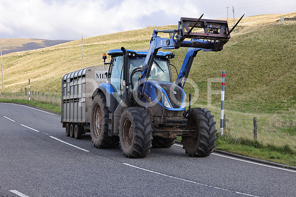 Steve - 3N3A6320 (245)