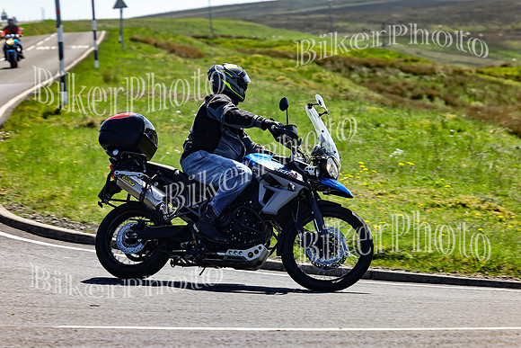 Daves (150)