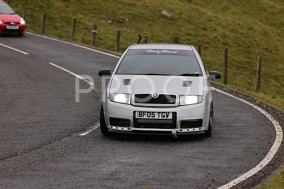 Steve - 3N3A9999 (1569)