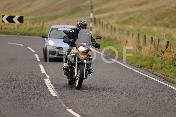 Steve - 3N3A9999 (1240)