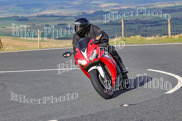 250A2553
