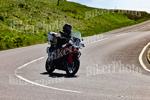 Daves (86)