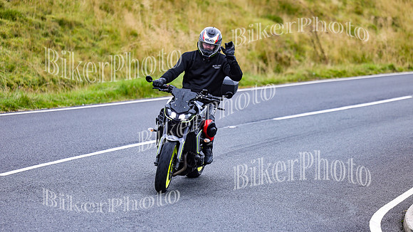 3N3A0255