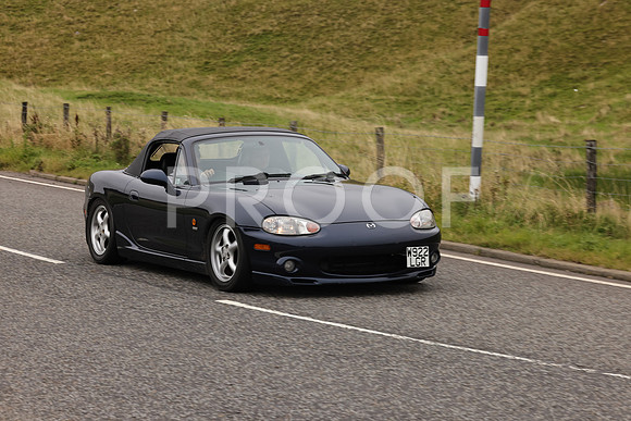 Steve - 3N3A9999 (2095)