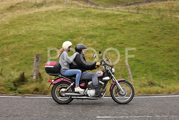 Steve - 3N3A9999 (1218)