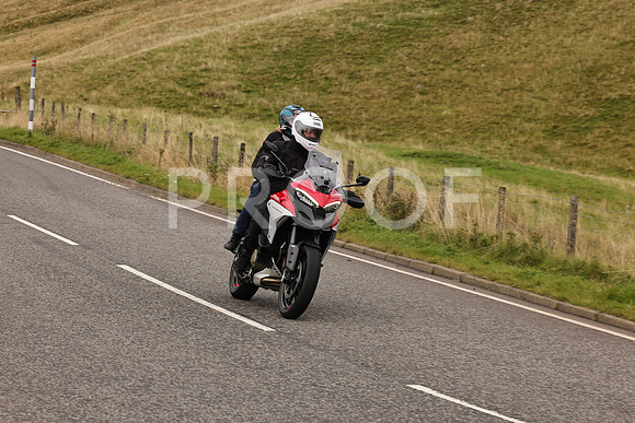 Steve - 3N3A9999 (5026)