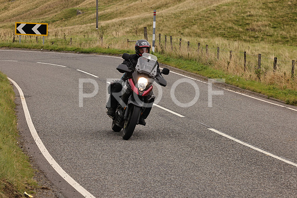 Steve - 3N3A9999 (2925)