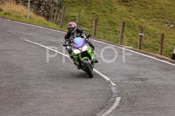 Steve - 3N3A9999 (1053)