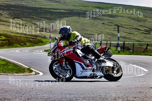 Daves (76)