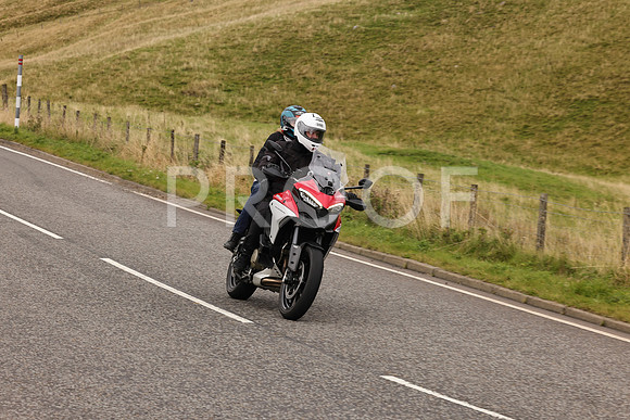 Steve - 3N3A9999 (5027)