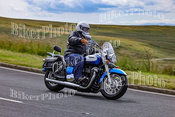3N3A3565