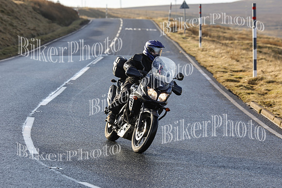 250A4835 - Copy