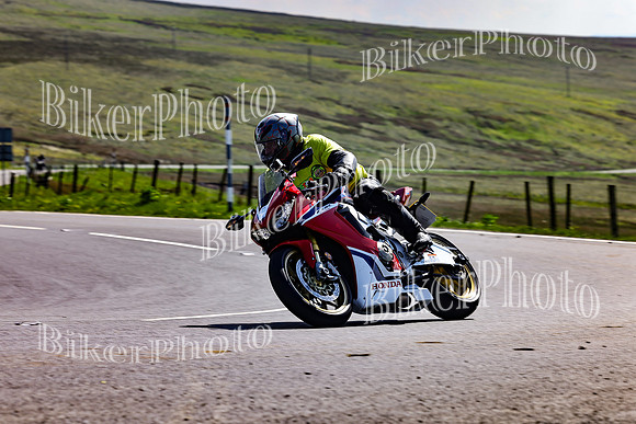 Daves (78)