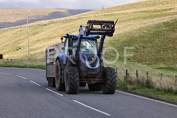 Steve - 3N3A6320 (239)