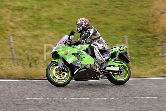 Steve - 3N3A9999 (1068)