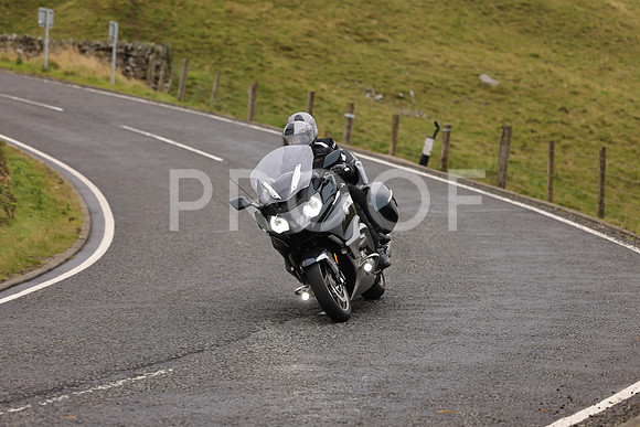 Steve - 3N3A9999 (1154)