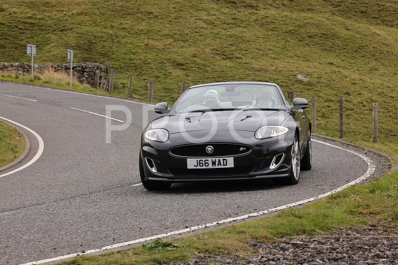 Steve - 3N3A9999 (3353)