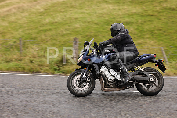 Steve - 3N3A9999 (1041)