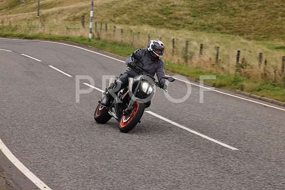Steve - 3N3A9999 (3841)