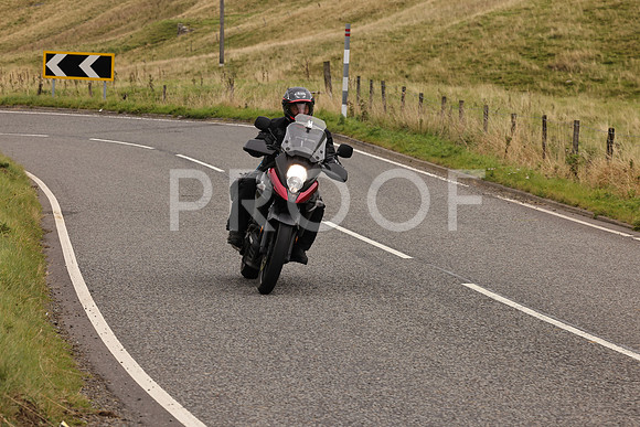 Steve - 3N3A9999 (2923)