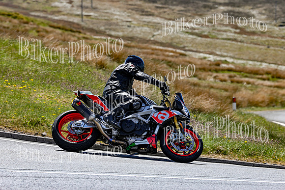 0W9A3006