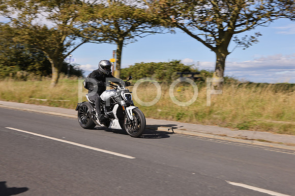 3N3A6168