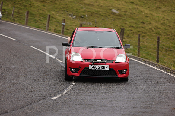 Steve - 3N3A9999 (1590)