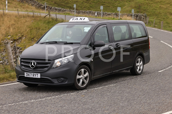 Steve - 3N3A9999 (2382)