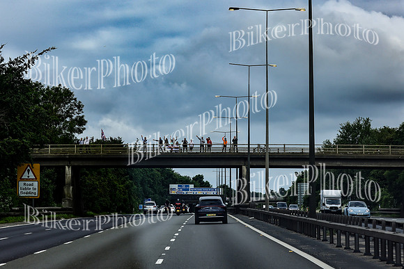 Bridges Cecilia (7)