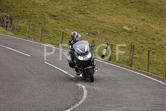 Steve - 3N3A9999 (1146)