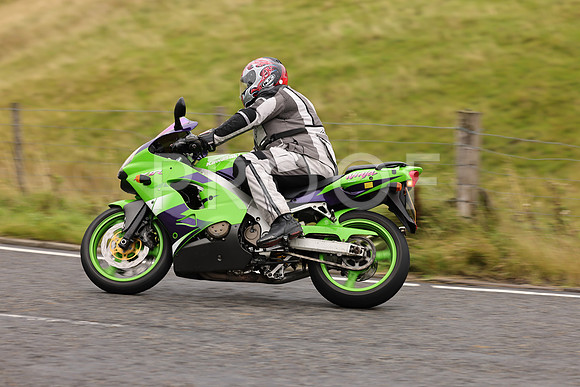 Steve - 3N3A9999 (1075)