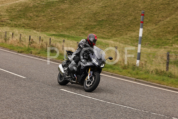 Steve - 3N3A9999 (4999)