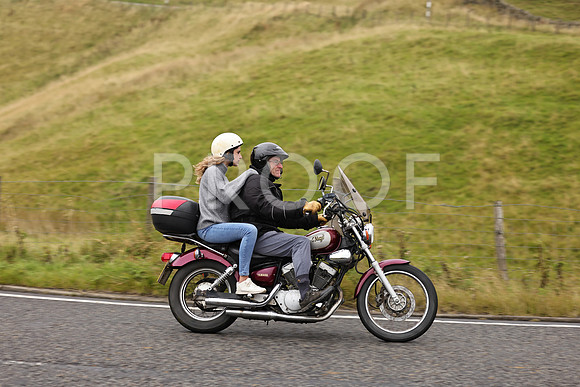 Steve - 3N3A9999 (1214)