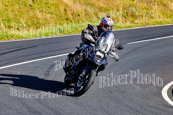 3N3A2372 (2)