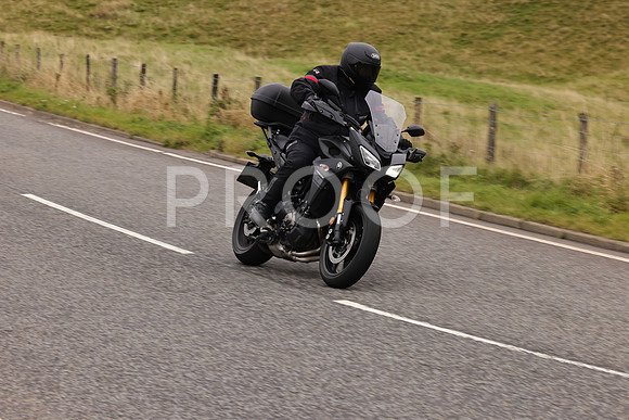 Steve - 3N3A9999 (3138)