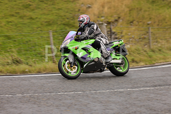 Steve - 3N3A9999 (1065)