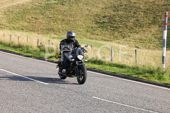 3N3A0441